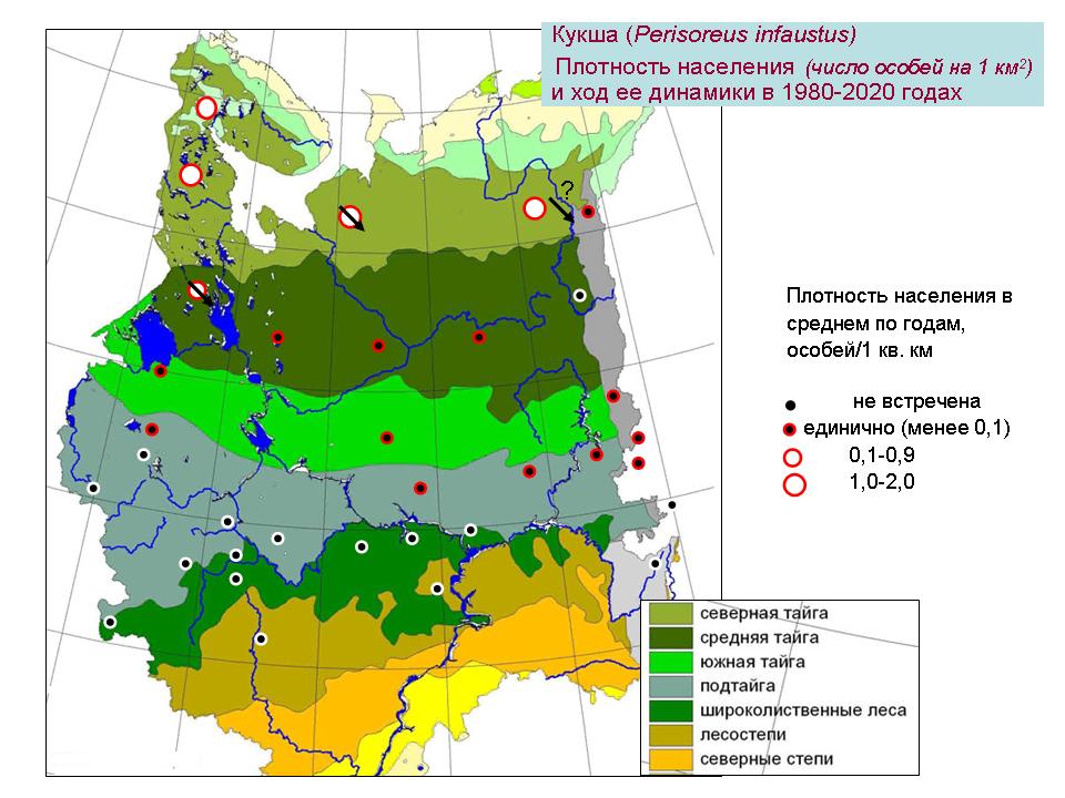 Кукша (Perisoreus infaustus). Динамика лесной зимующей популяции по данным программы PARUS 